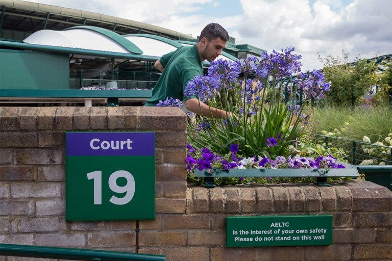 Wimbledon anuncia wildcards de pares e fase de qualificação