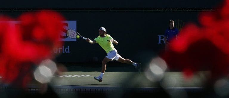 João Sousa vs. Mischa Zverev tem transmissão em direto na Sport TV