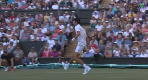 djokovic-tweener