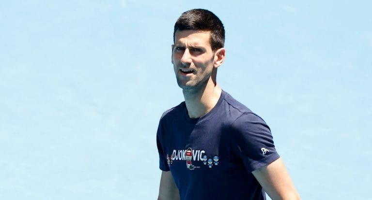 Tudo por Djokovic: Tennis Australia pagou processos e até preencheu formulários