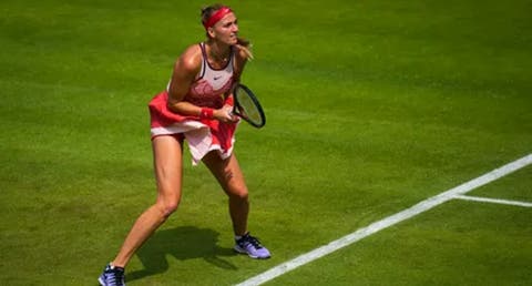 kvitova pliskova