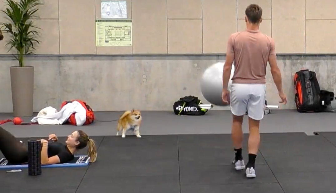 [VÍDEO] Cão acompanha treinos das estrelas na academia em Madrid