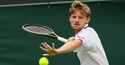 goffin-wimb