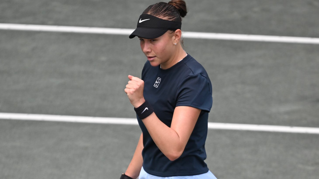 Anisimova